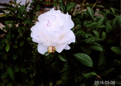 tmk160616_02.jpg